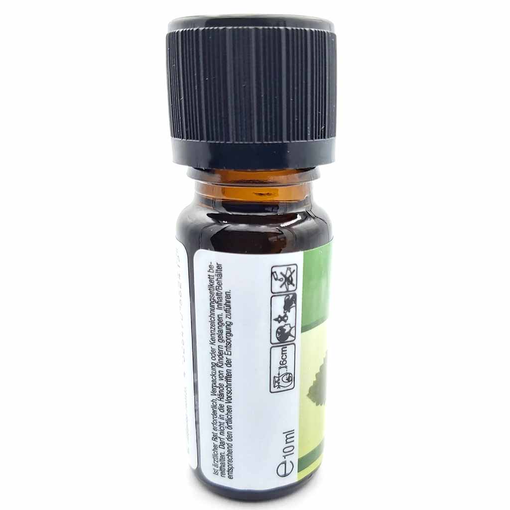 Duftöl Minze10ml